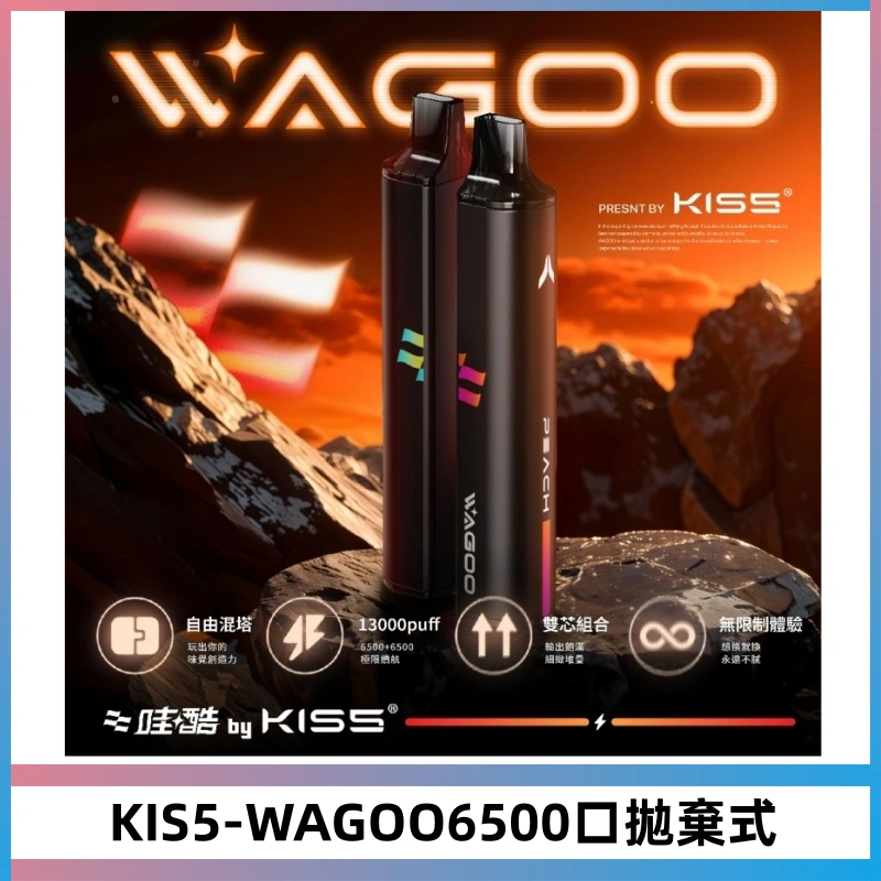 KIS5WAGOO哇酷6500口拋棄式 | 自由混搭雙口味 | 雙芯組合