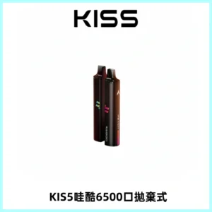 KIS5WAGOO哇酷6500口拋棄式 | 自由混搭雙口味 | 雙芯組合